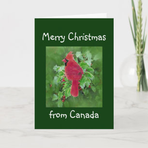 Feliz Navidad desde Canadá, cardenal Bird