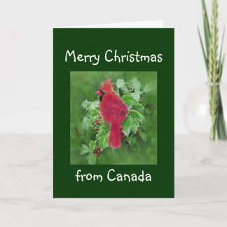 Feliz Navidad desde Canadá, cardenal Bird