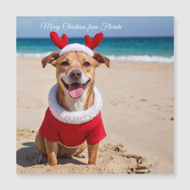 Feliz Navidad desde Florida Beach (Anverso)