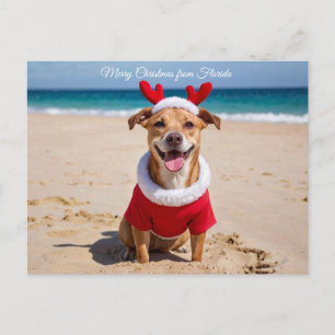 Feliz Navidad desde Florida Beach