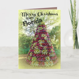 Feliz Navidad desde Florida Bromeliad Tree