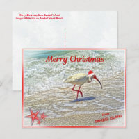 Feliz Navidad desde la isla de Sanibel FL White Ib