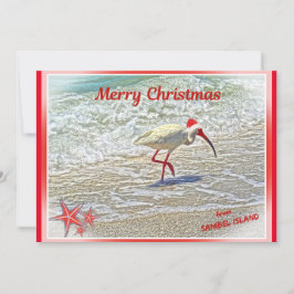 Feliz Navidad desde la isla de Sanibel FL White Ib