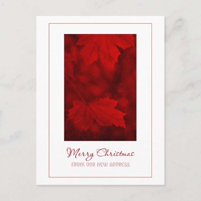 Feliz Navidad desde la nueva postal de la direcció (Anverso)