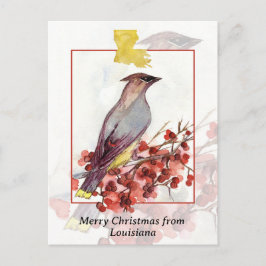 Feliz Navidad desde Louisiana Cedar Waxwing Bird