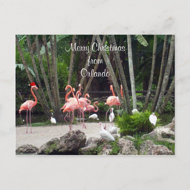 Feliz Navidad desde Orlando - Pink Flamingos, (Anverso)