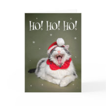 Feliz Navidad divertido gato dice Ho Ho Ho