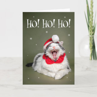 Feliz Navidad divertido gato dice Ho Ho Ho