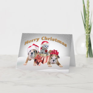 Feliz Navidad Dos Bulldoges y tarjeta de gatito