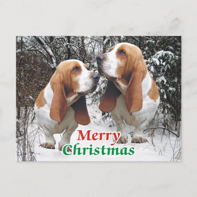 Feliz Navidad en los Basset Hounds (Anverso)