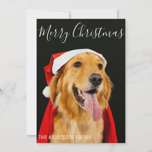 Feliz Navidad Foto de Perro Adorable Deseos Sencil (Anverso)