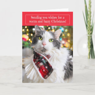 Feliz Navidad Gatito Adorable con Bufanda Navideña