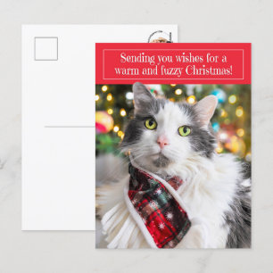 Feliz Navidad Gatito Lindo con Bufanda Navideña