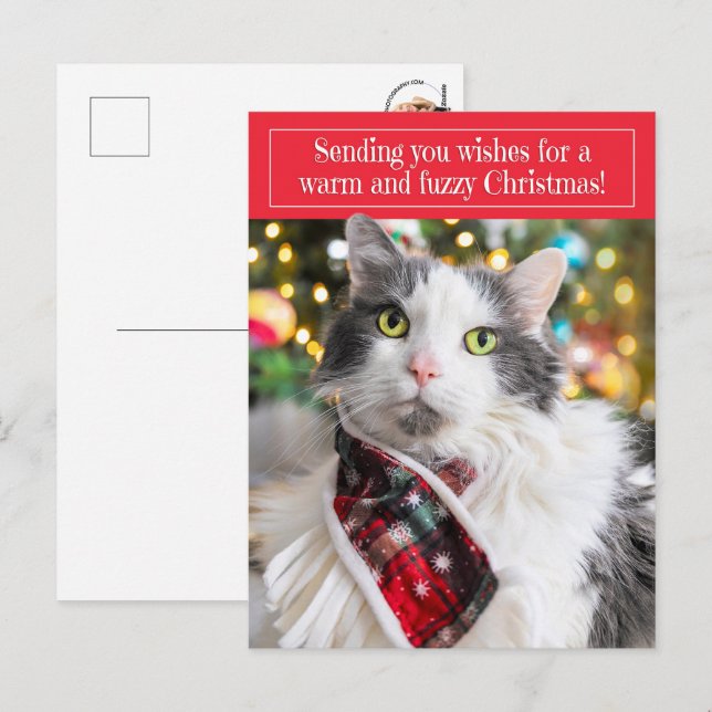 Feliz Navidad Gatito Lindo con Bufanda Navideña (Anverso / Reverso)