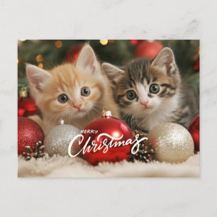 Feliz Navidad gatitos y ornamentos