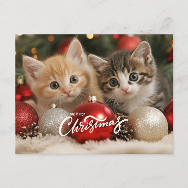 Feliz Navidad gatitos y ornamentos (Anverso)