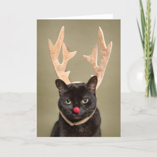 Feliz Navidad Gato Divertido con Cuernos de Reno