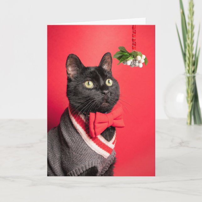 Feliz Navidad Gato Guapo Con Humor De Muérdago (Anverso)