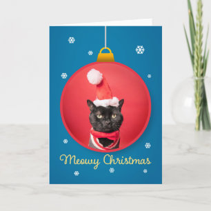 Feliz Navidad Gato Lindo con Sombrero de Santa en