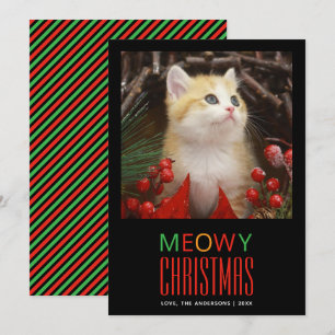 Feliz Navidad Gato Mascota Foto Amantes de los Ani