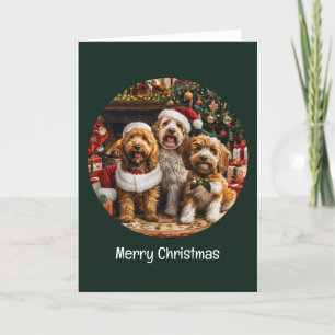 Feliz Navidad Goldendoodle Perros Cachorros