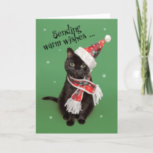 Feliz Navidad Gracioso gato en Gorra y miedo