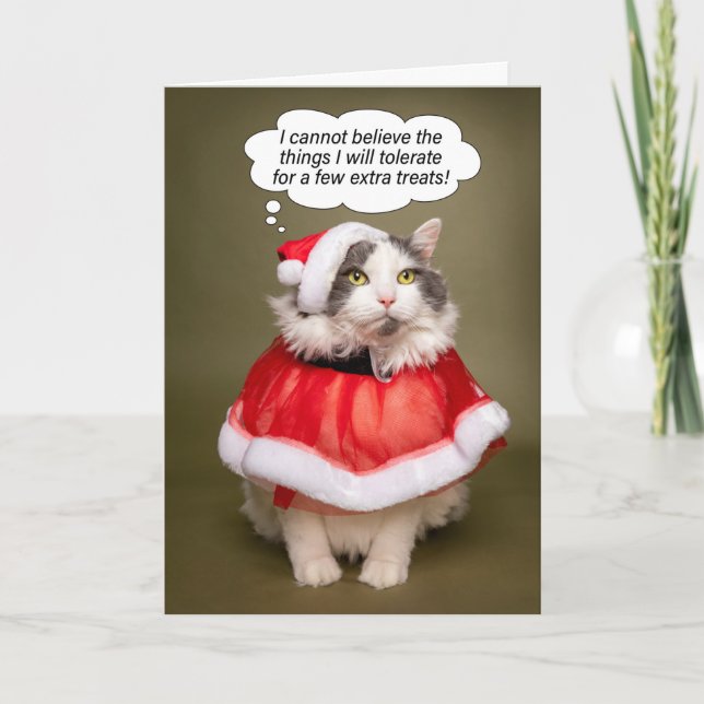 Feliz Navidad Gracioso gato vestido con ropa de Sa (Anverso)