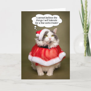 Feliz Navidad Gracioso gato vestido con ropa de Sa