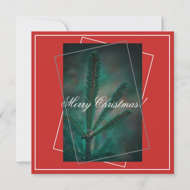Feliz Navidad Green Pine Fir Tree Tarjeta de salud (Anverso)