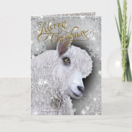 Feliz Navidad Hermosa Angora Goat | BabyGirl