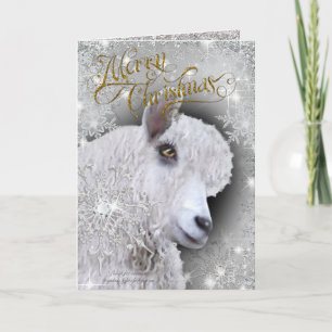 Feliz Navidad Hermosa Angora Goat   BabyGirl