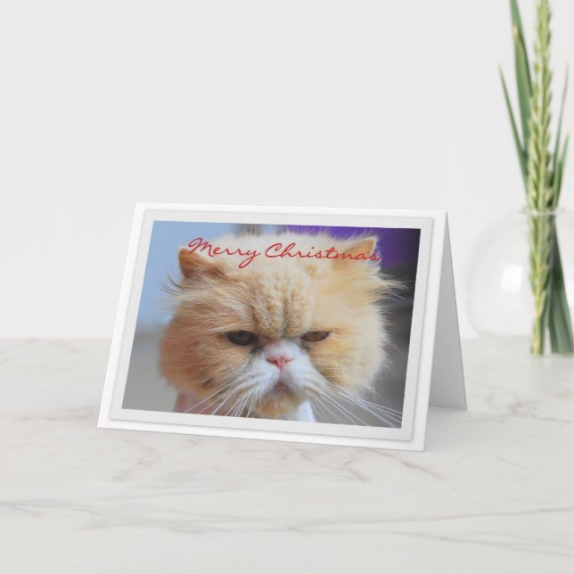 Feliz Navidad Humor de gato persa (Anverso)