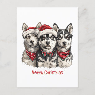 Feliz Navidad Husky Dogs