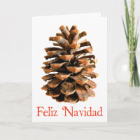 Feliz Navidad - Jerusalem Pine Cone