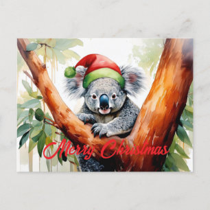 Feliz Navidad Koala sentado en Gumtree
