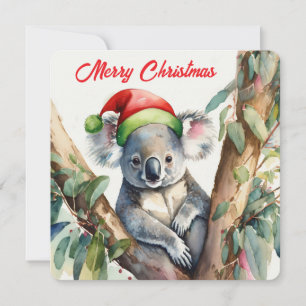 Feliz Navidad Koala sentado en Gumtree