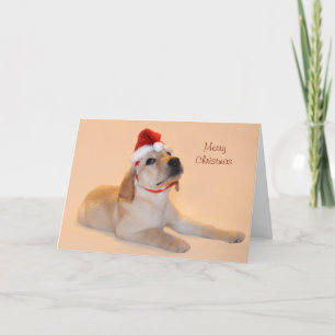 Feliz Navidad - Laboratorio Amarillo