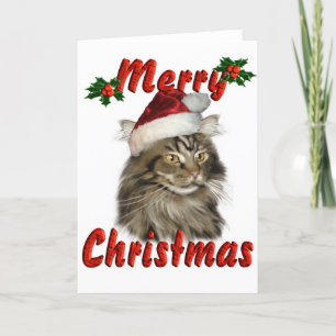Feliz Navidad Maine Coon Cat