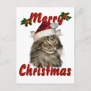 Feliz Navidad Maine Coon Cat