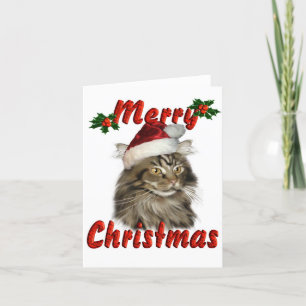 Feliz Navidad Maine Coon Cat