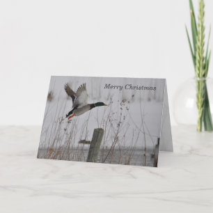Feliz Navidad Mallard Duck Card de Janz
