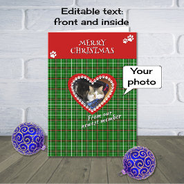 Feliz Navidad mascota foto cheque verde rojo