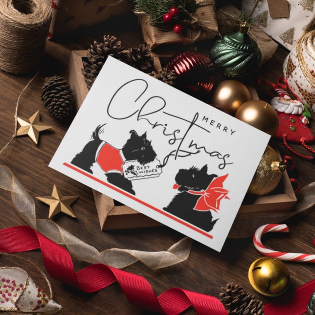 FELIZ NAVIDAD | Mejor deseo para los perros escoce (Subido por el creador)