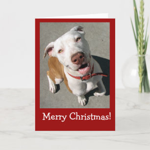 Feliz Navidad Mejor Freind