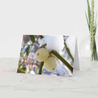 Feliz Navidad (Mistletoe Berries)