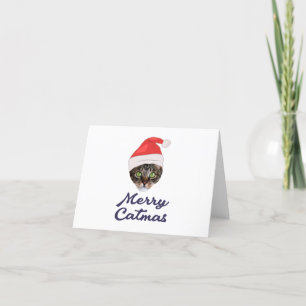 Feliz Navidad, Navidades Invitación a Gato Santa h