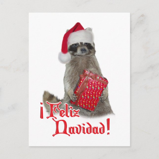 Feliz Navidad - Navidades Raccoon Bandit (Anverso)