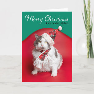 Feliz Navidad Nieta Gato Lindo con Sombrero