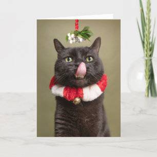 Feliz Navidad para cualquier gato bajo el muérdago