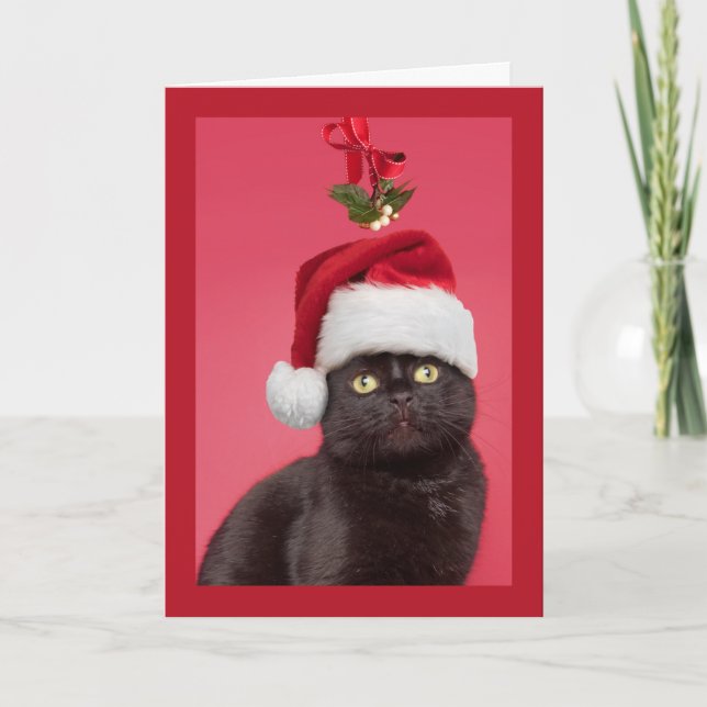 Feliz Navidad para cualquier gato bajo el muérdago (Anverso)
